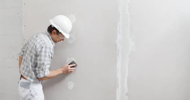 Best Water-Damaged Drywall Repair  in Lden, MA