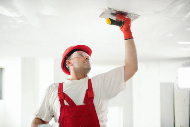 Best Drywall Removal and Disposal  in Lden, MA